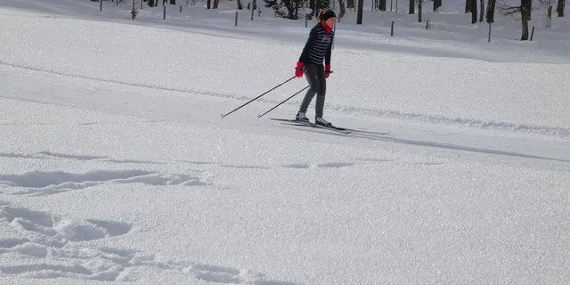 exercise-daily