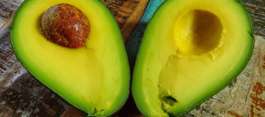 avocado