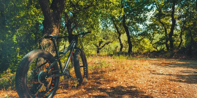 Cycling to lose belly fat